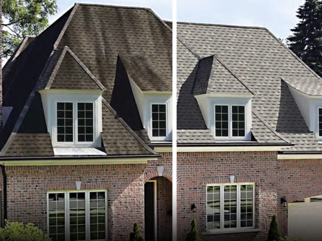 How Often Do Roofs Need To Be Replaced - Mold On Roof