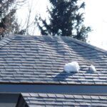 Roof Inspection - Water Damage Roof - Roof Repair Lexington Ky