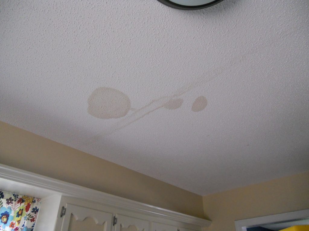 Spring Roof Inspections Active Roof Leaks