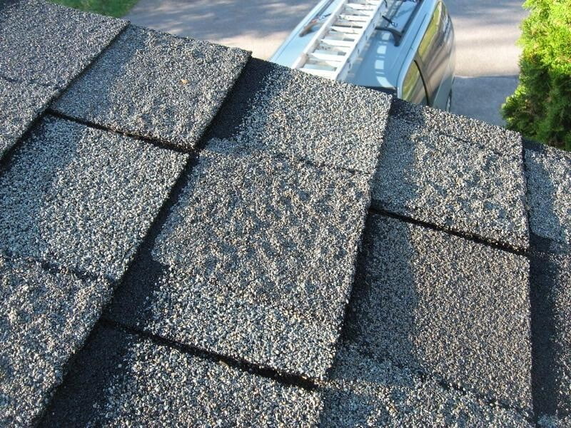 Types of Roof Damage - Blistering Shingles