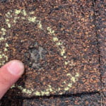 Types of Roof Damage - Roof Damage By Hail Shingle