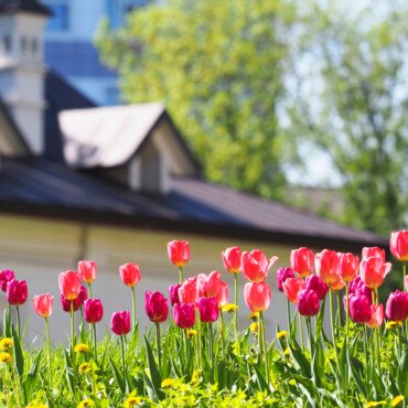 Spring Roof Inspections