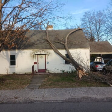 Tree Fall Roof Replacement Lawrenceburg Ky
