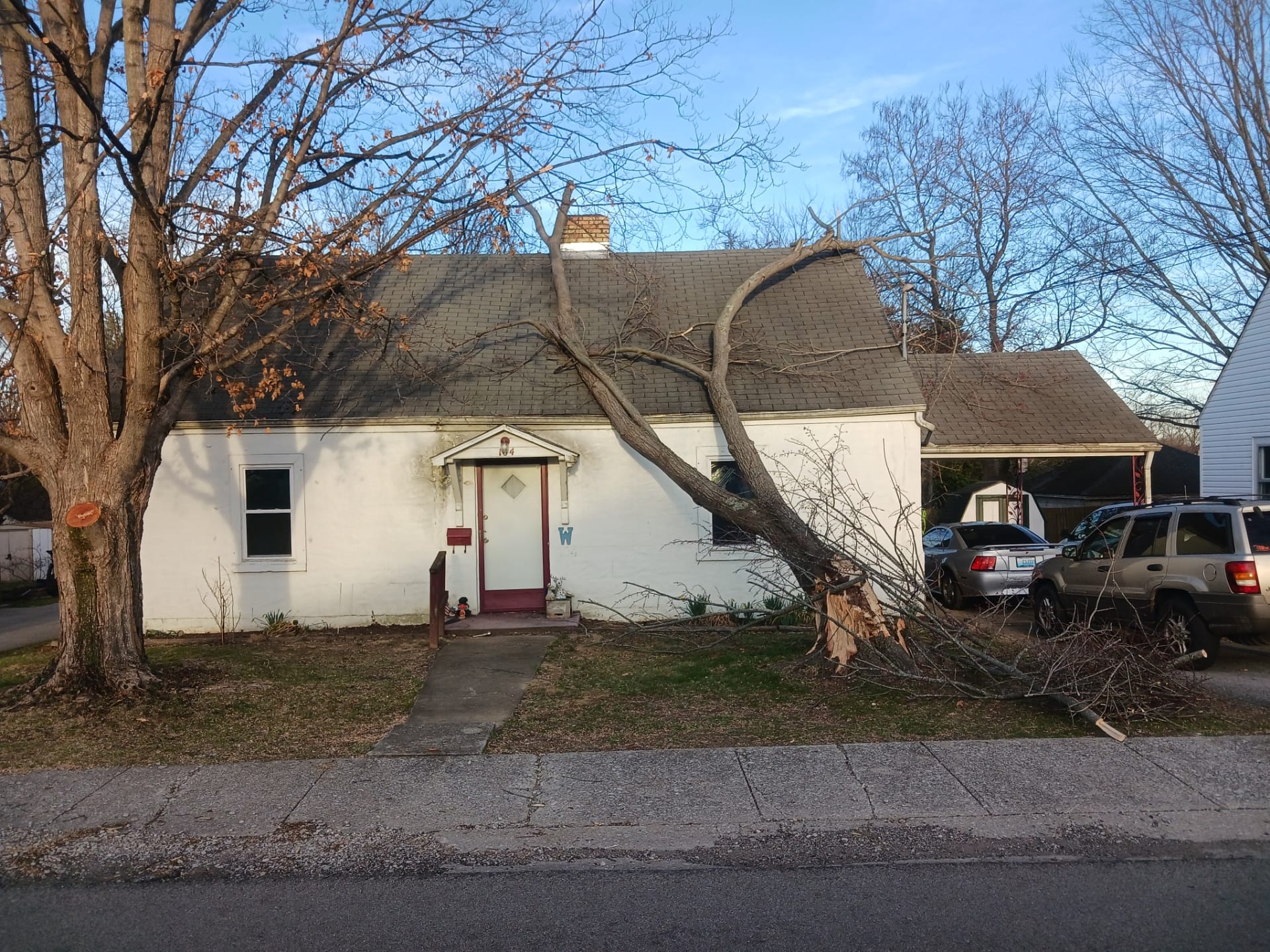 Tree Fall 1 Tree Fall Roof Replacement Lawrenceburg Ky