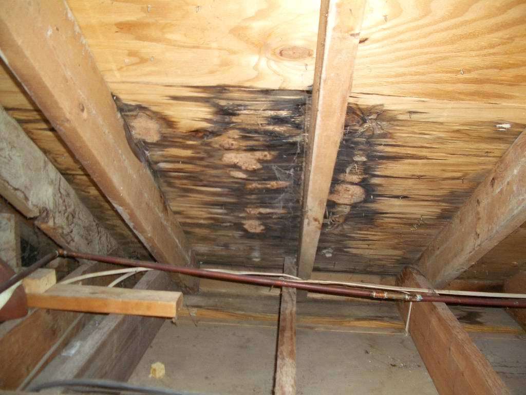 Free Roof Inspection